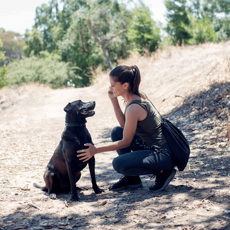 Sniff | San Diego - Private Dog Walking photo 3