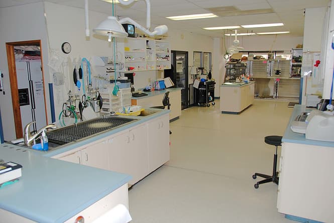 Solano-Napa Pet ER Clinic