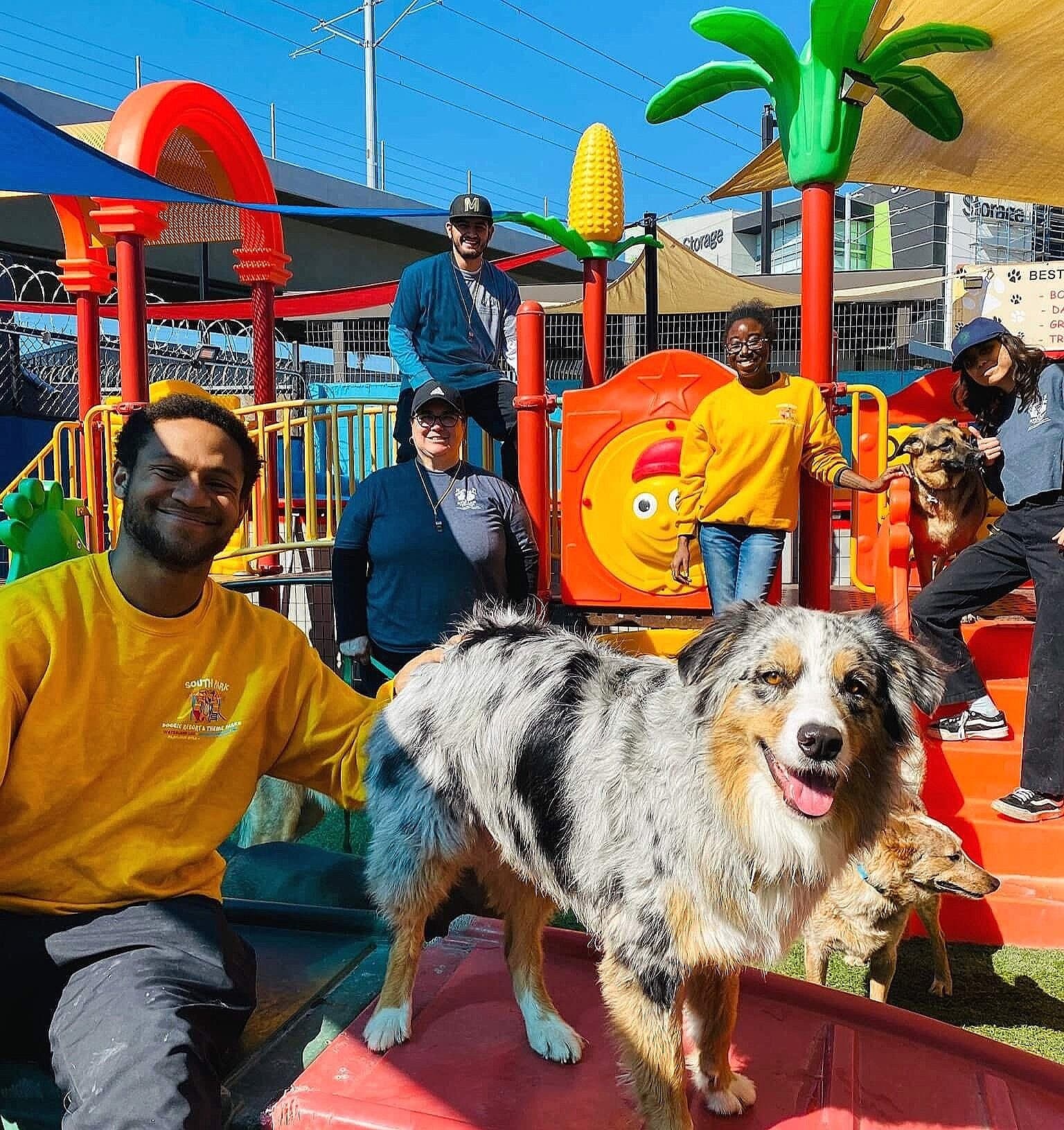 South Park Doggie - Waterland (LAX)