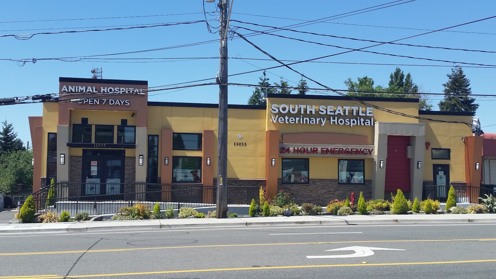 South Seattle Veterinary Hospital