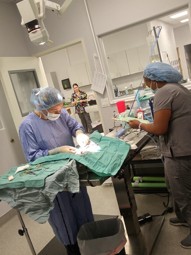 Spay & Neuter Center of Southern Nevada photo 2
