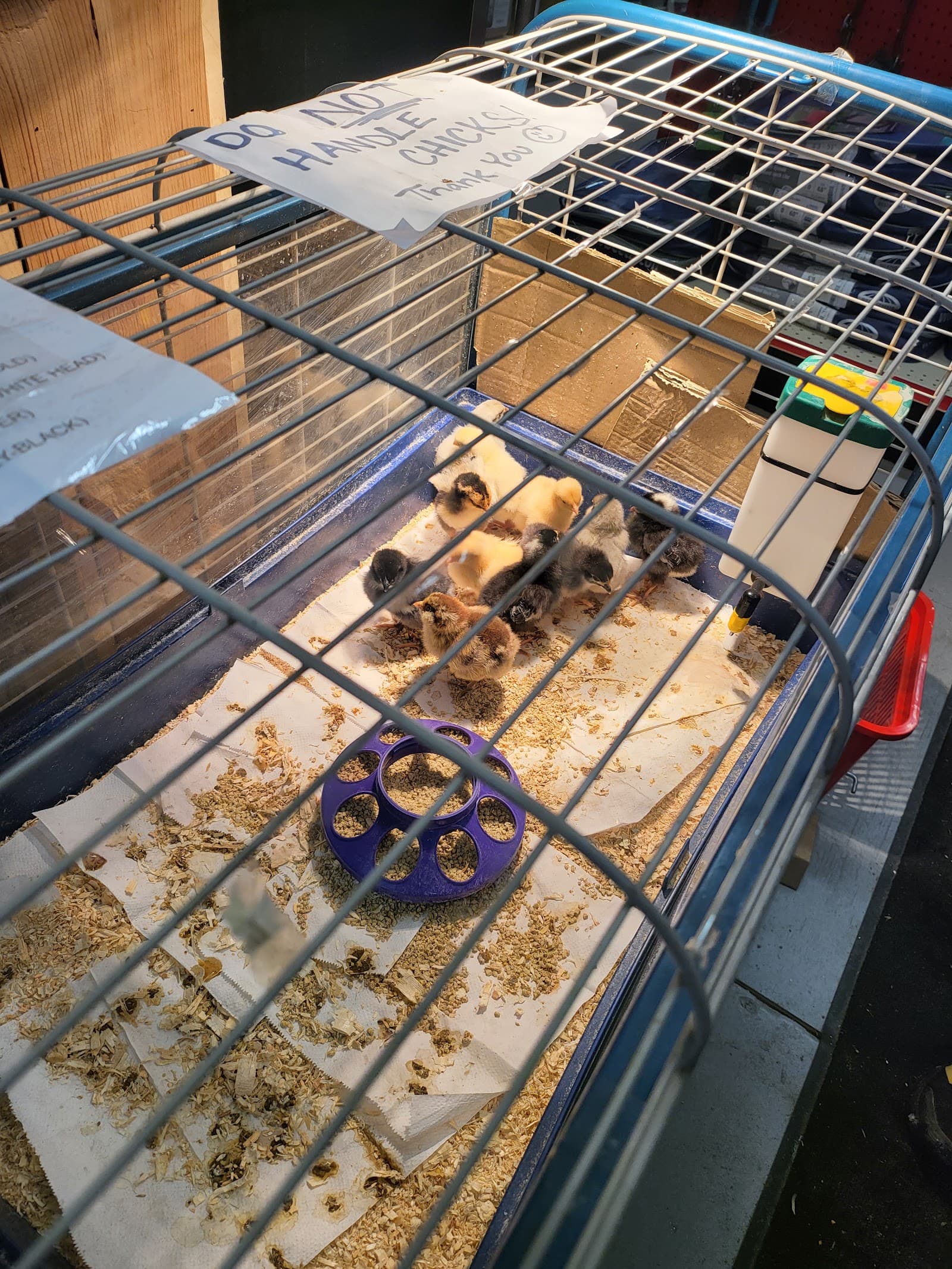 Spikes & Houles Feed, Seed & Pet Supply