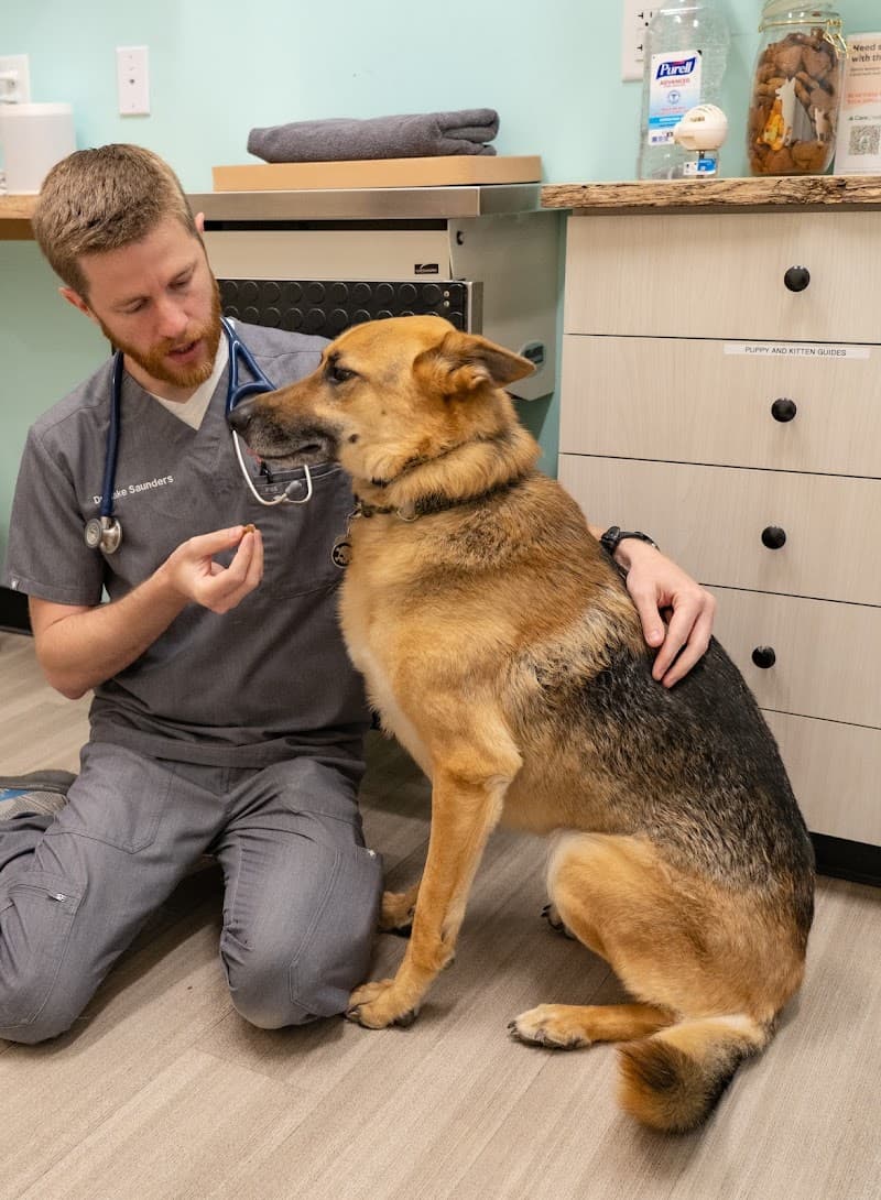 Sploot Veterinary Care - Highlands photo 3