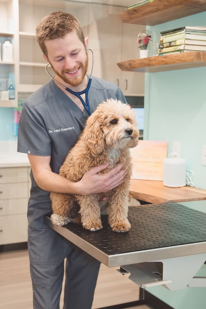 Sploot Veterinary Care - RiNo photo 5