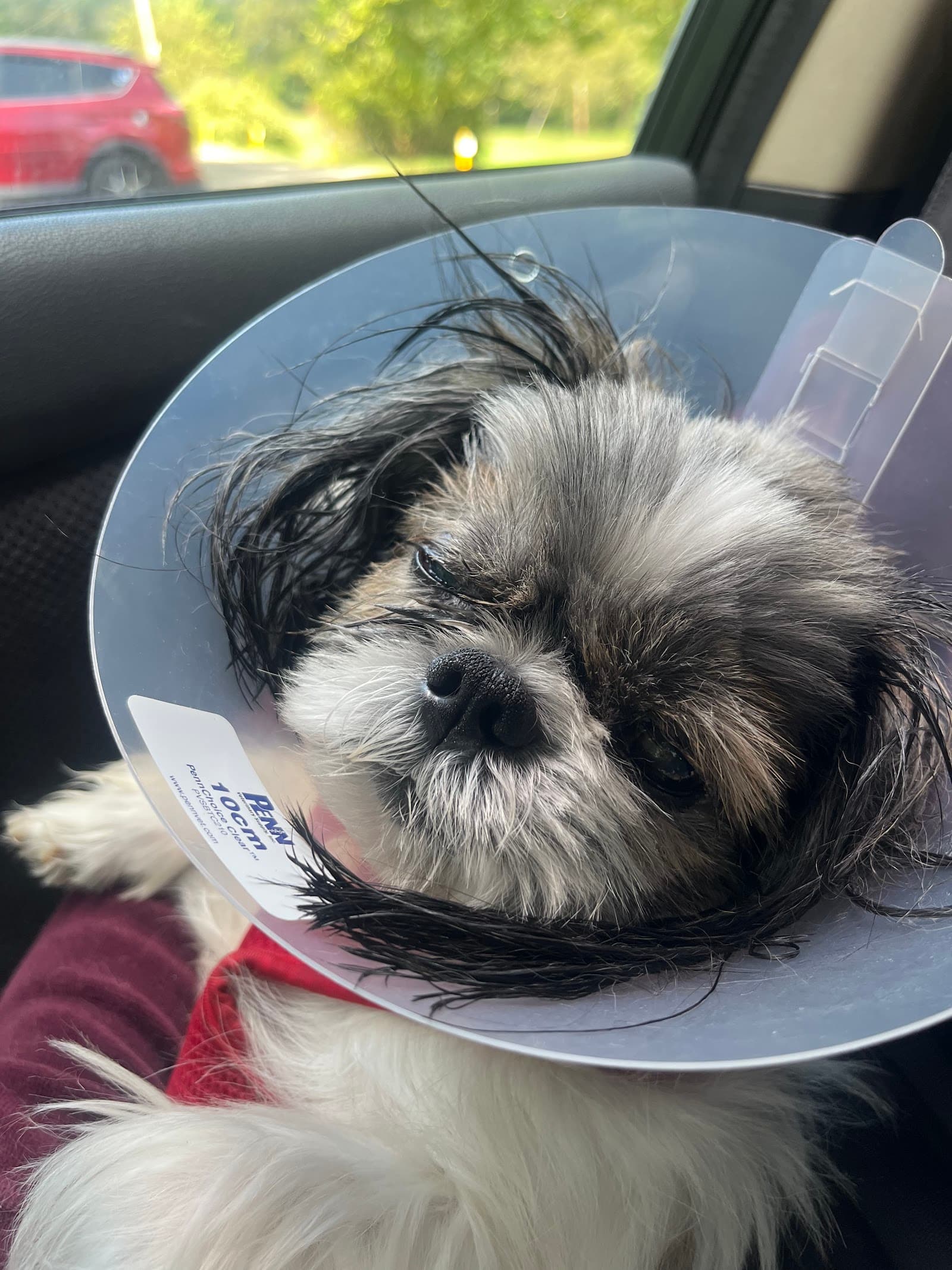 Spot's Spot Pet Grooming