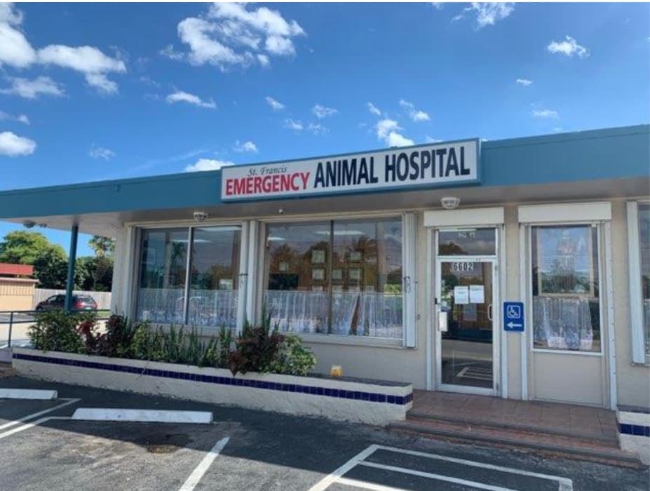 ST FRANCIS EMERGENCY ANIMAL HOSPITAL