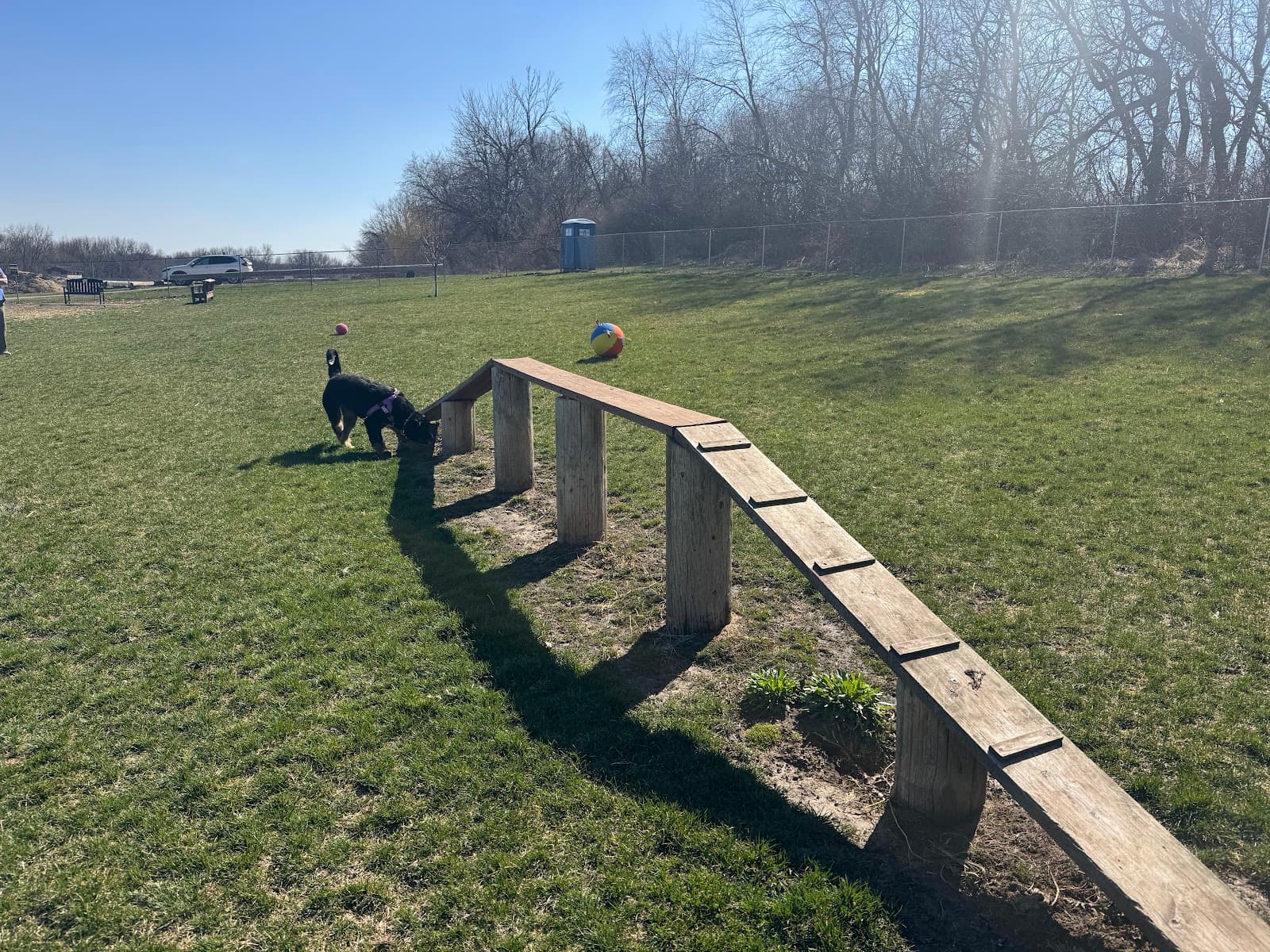Stewartville Dog Park