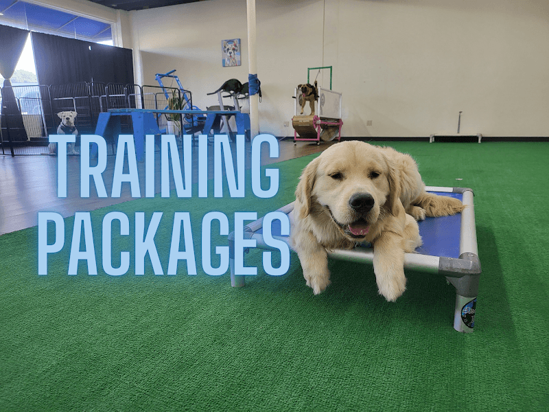 Strategic K9 Training LLC photo 3