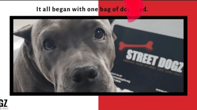 Street Dogz