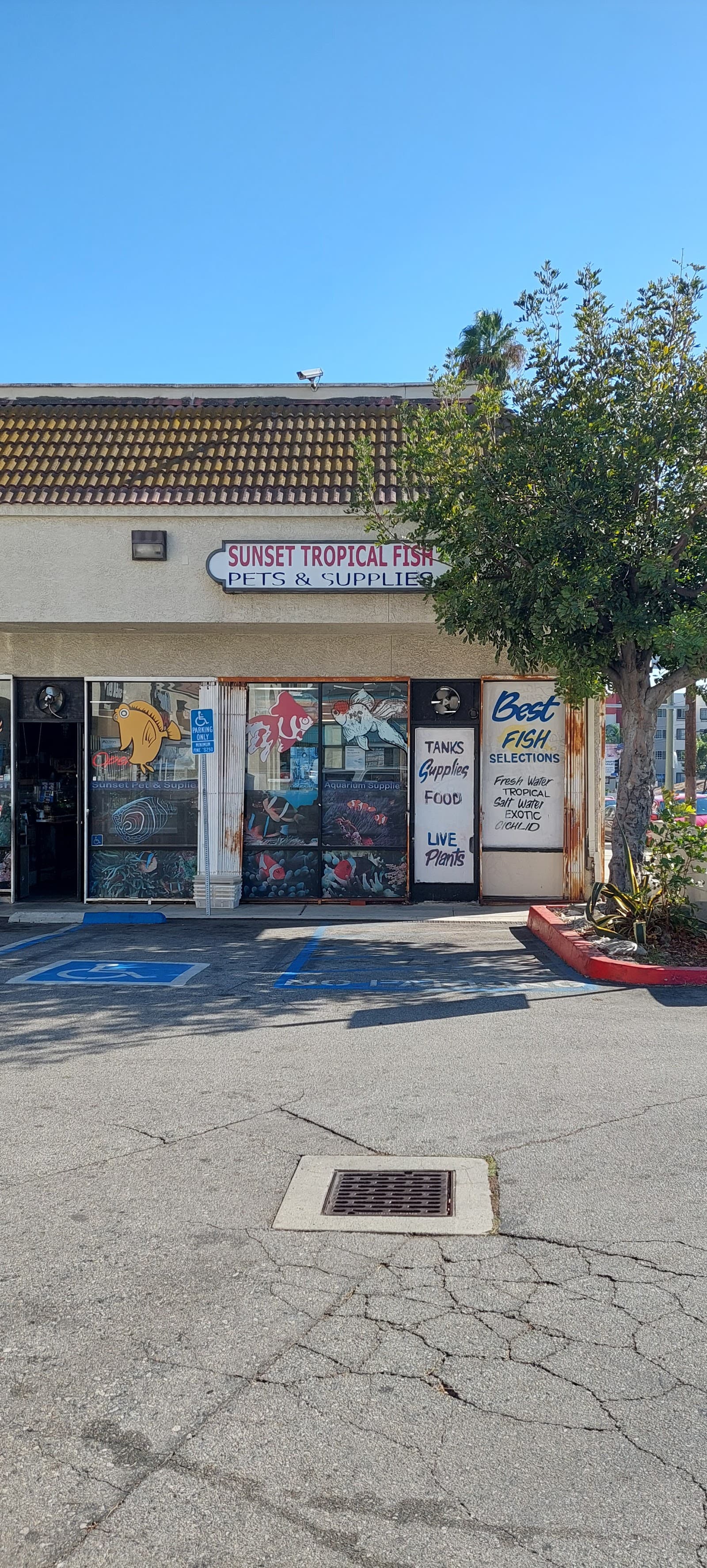 Sunset Pet & Supplies