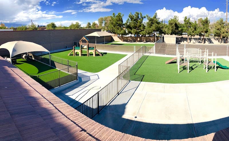 Tails Pet Resort