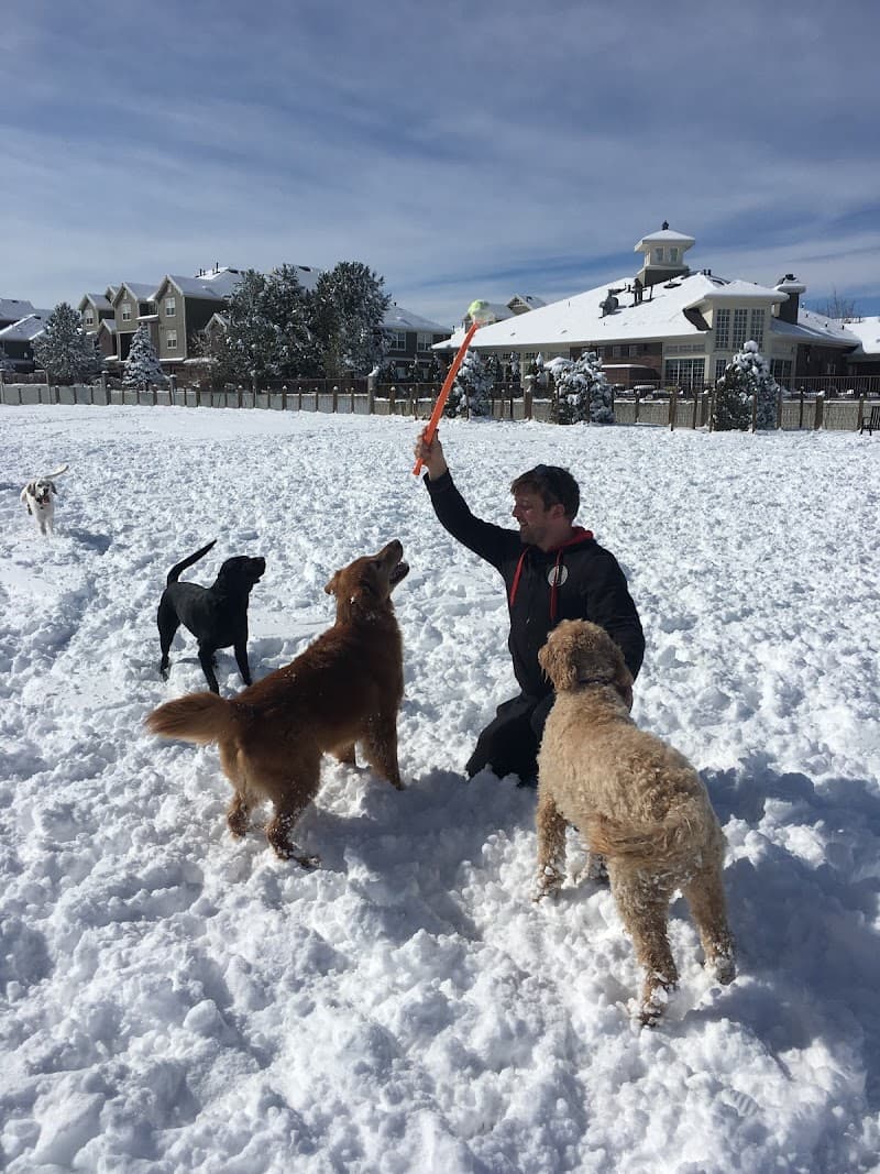 Tails Trails and Training photo 4