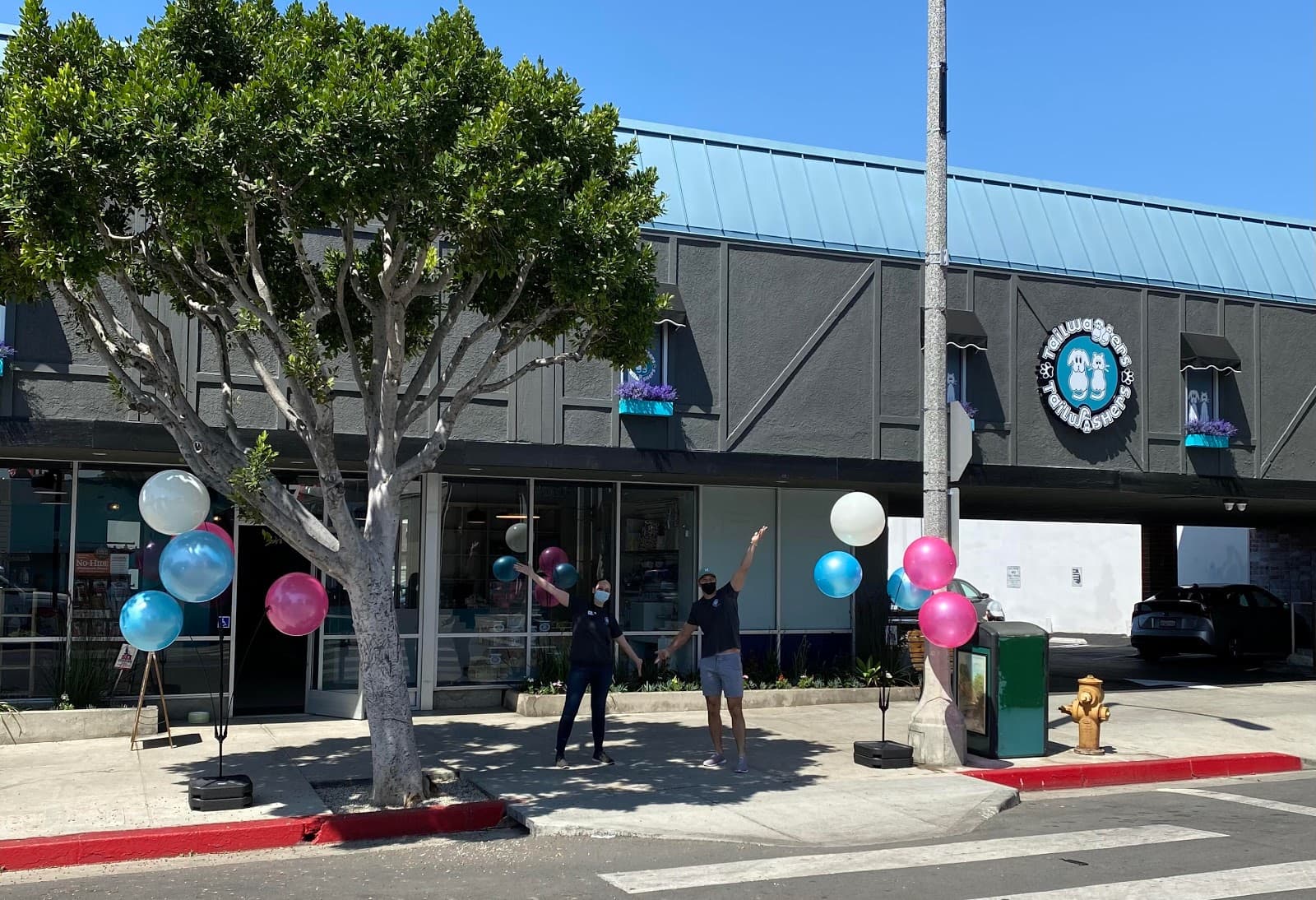 Tailwaggers & Tailwashers Larchmont Village