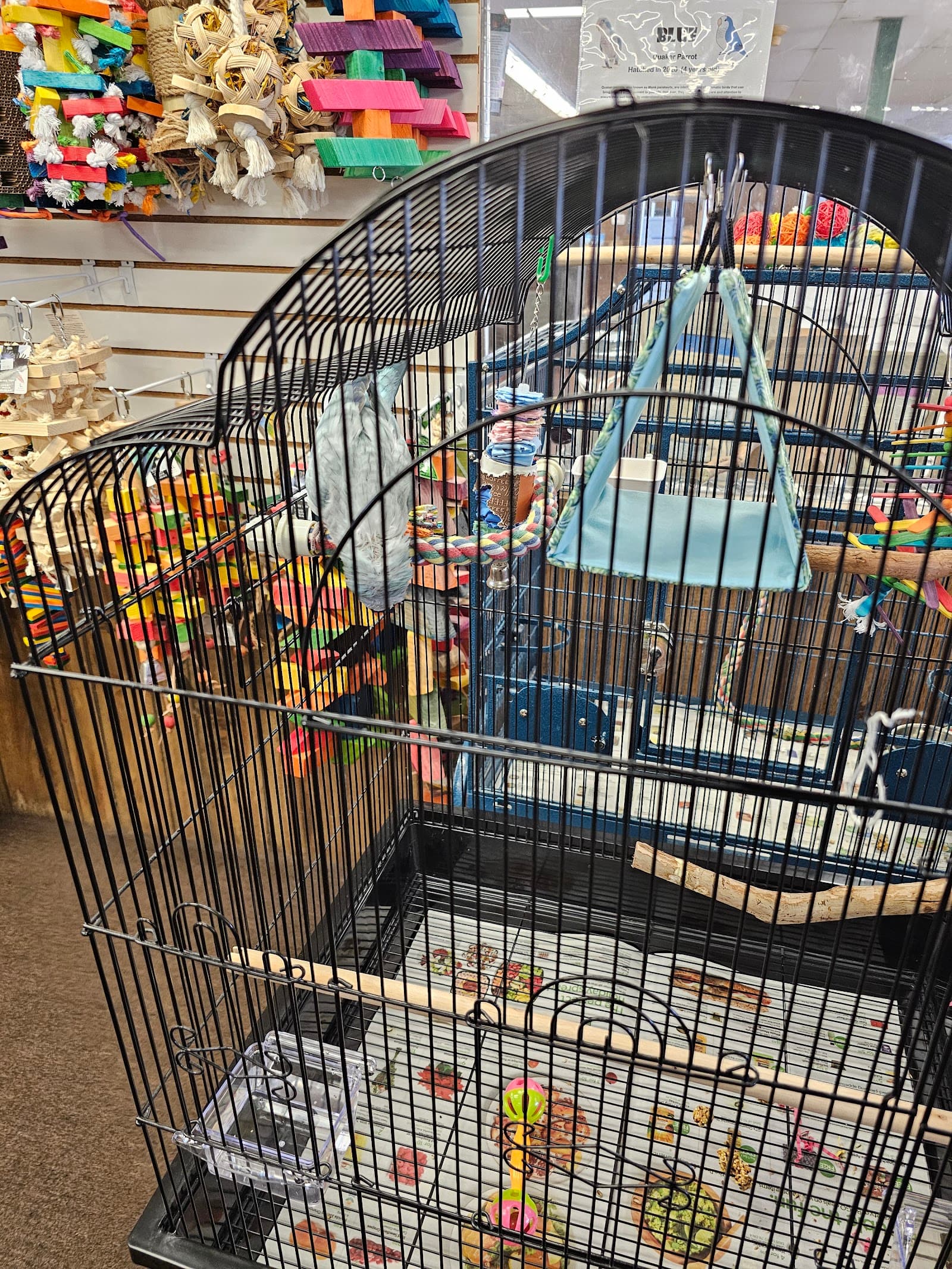 The Bird Store