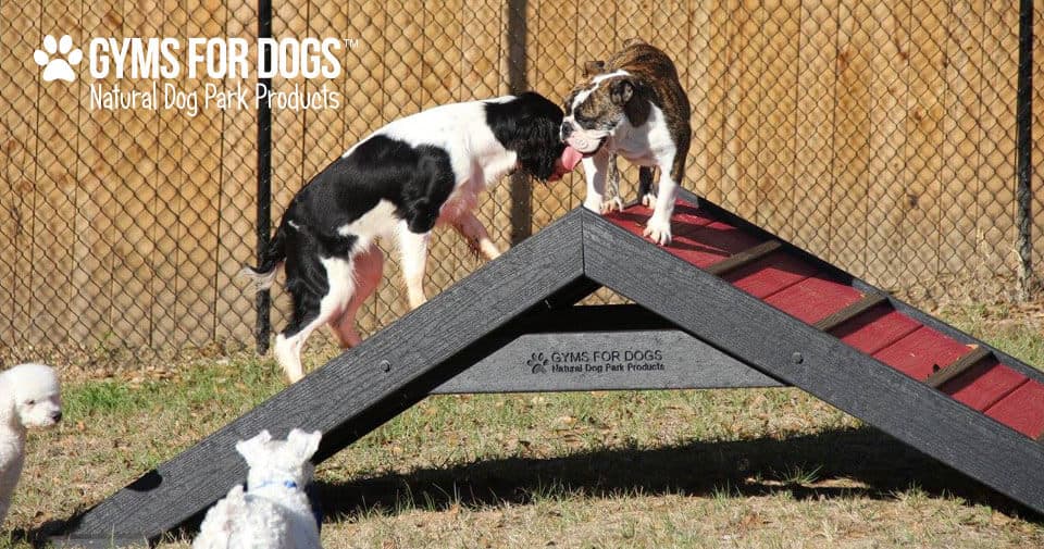 The Dog Park Company