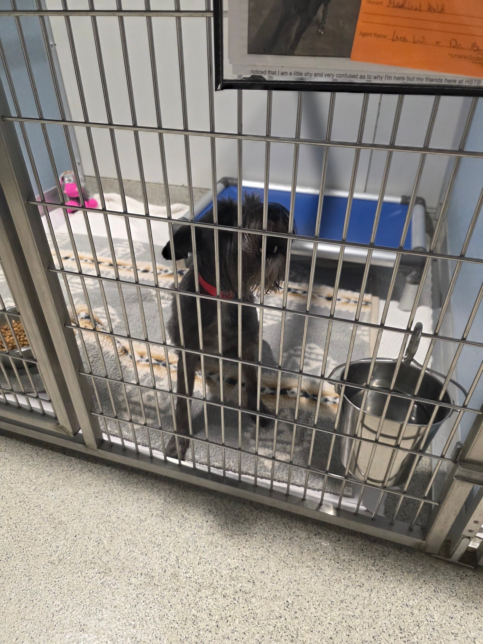 The Humane Society of Tampa Bay