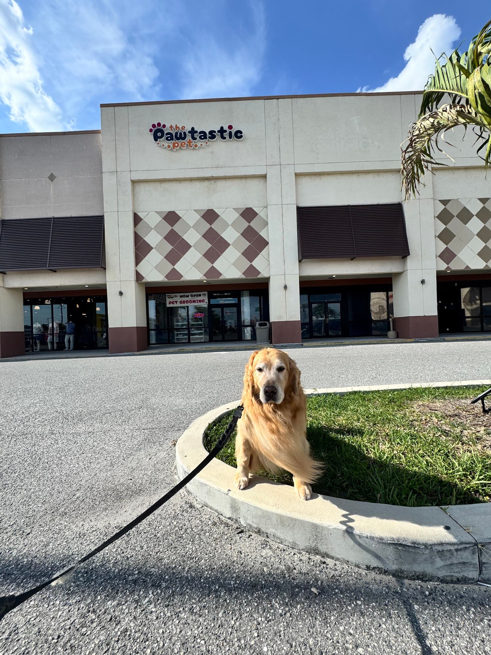 The Pawtastic Pet Shop