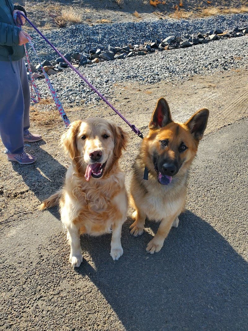 The Pet Nanny of Colorado LLC photo 5