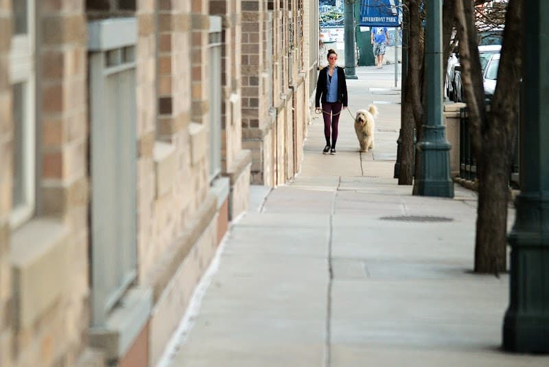 The Pet Valet photo 3
