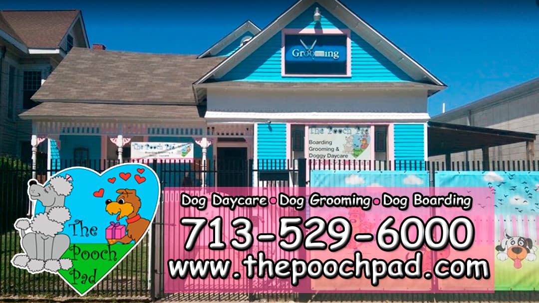 The Pooch Pad