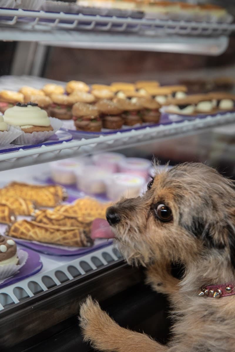 Three Dog Bakery photo 6