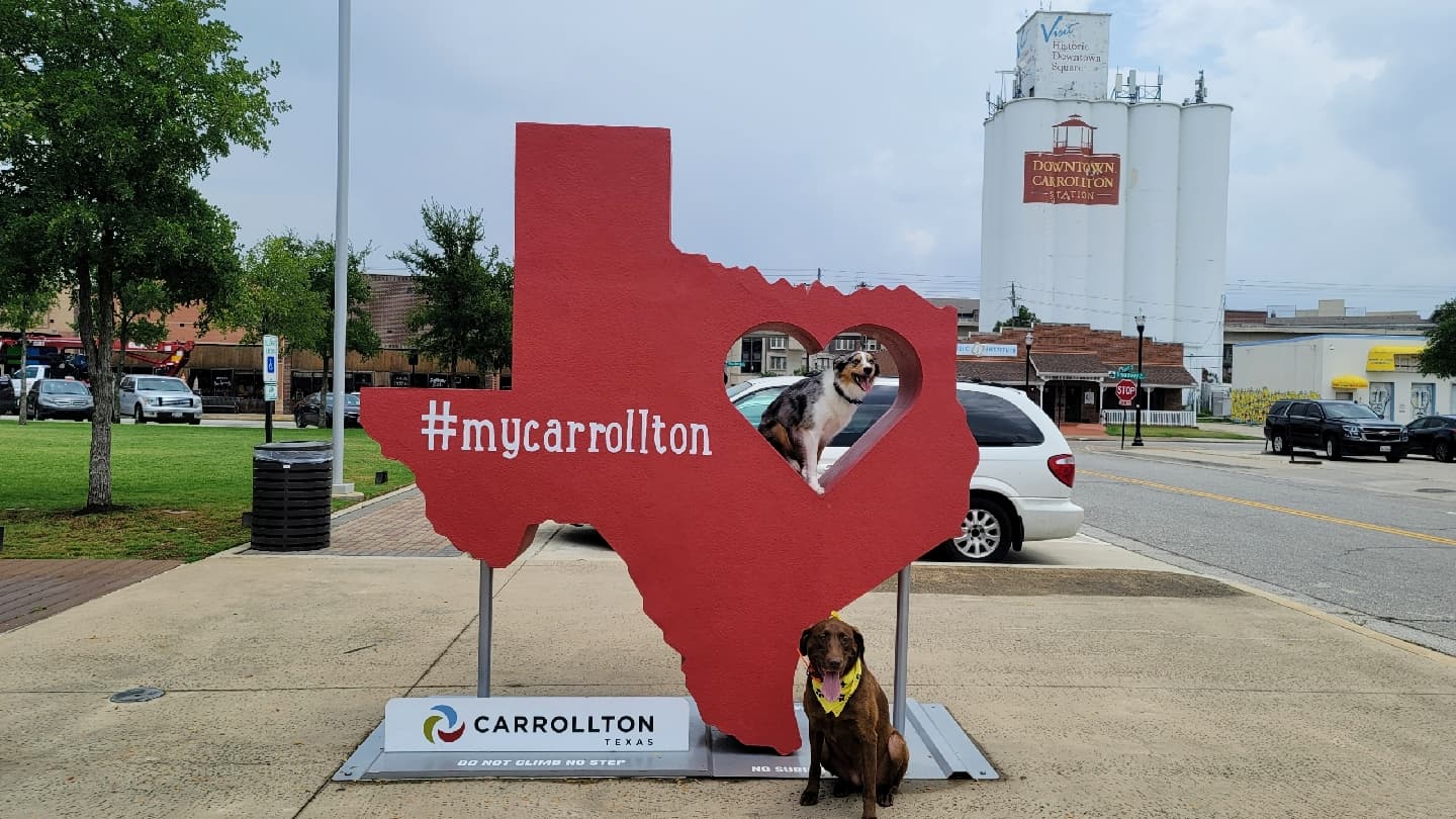 Tip Top K9 Dog Training Carrollton