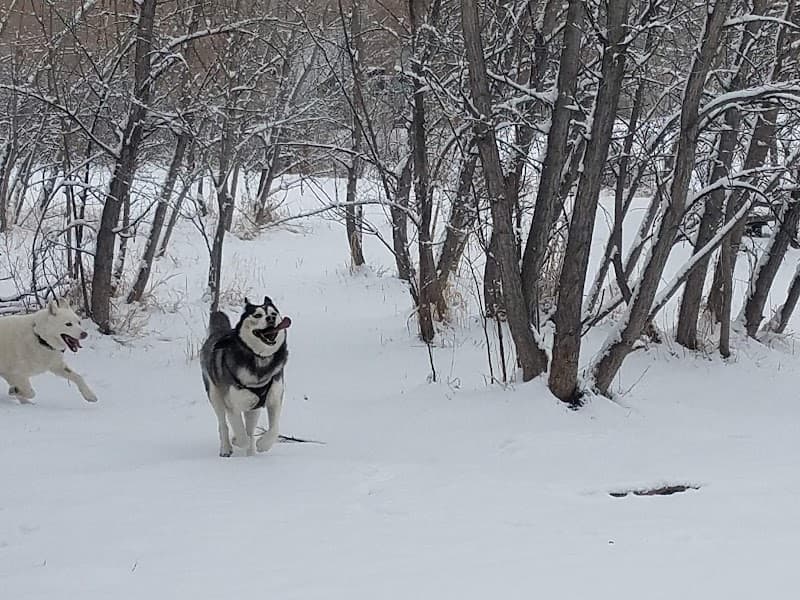 Tony Grampsas Dog Park photo 2