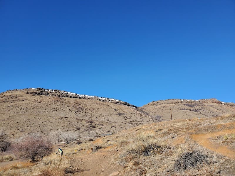 Tony Grampsas Dog Park photo 4
