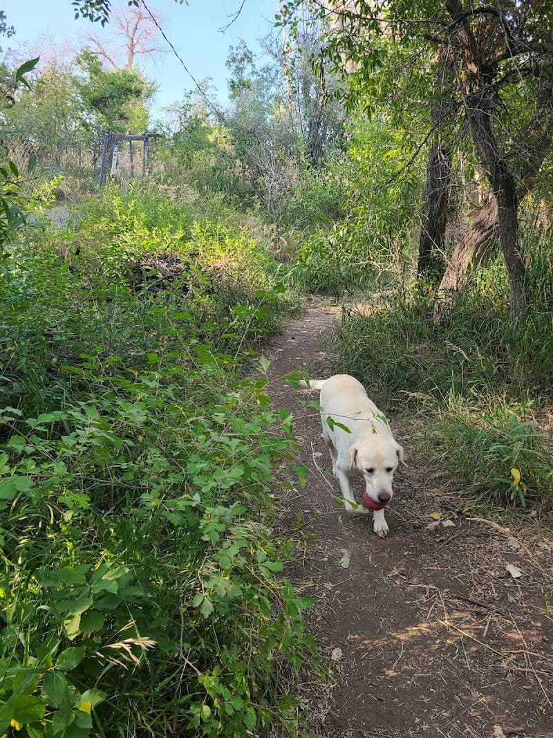 Tony Grampsas Dog Park photo 5