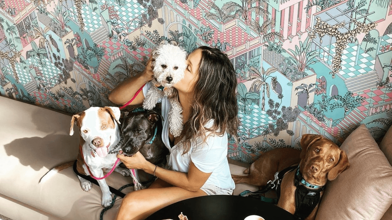 Top Dog Miami