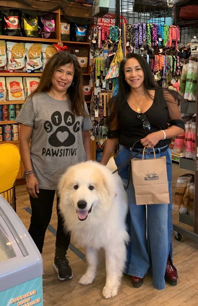 Two Pals & A Pup photo 2