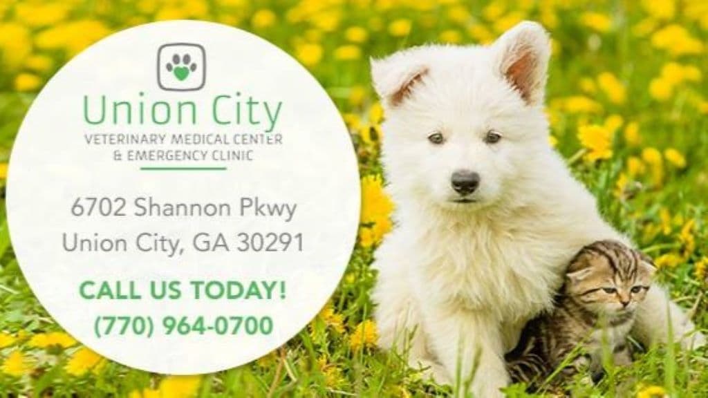 Union City Veterinary Medical Center & Emergency Clinic