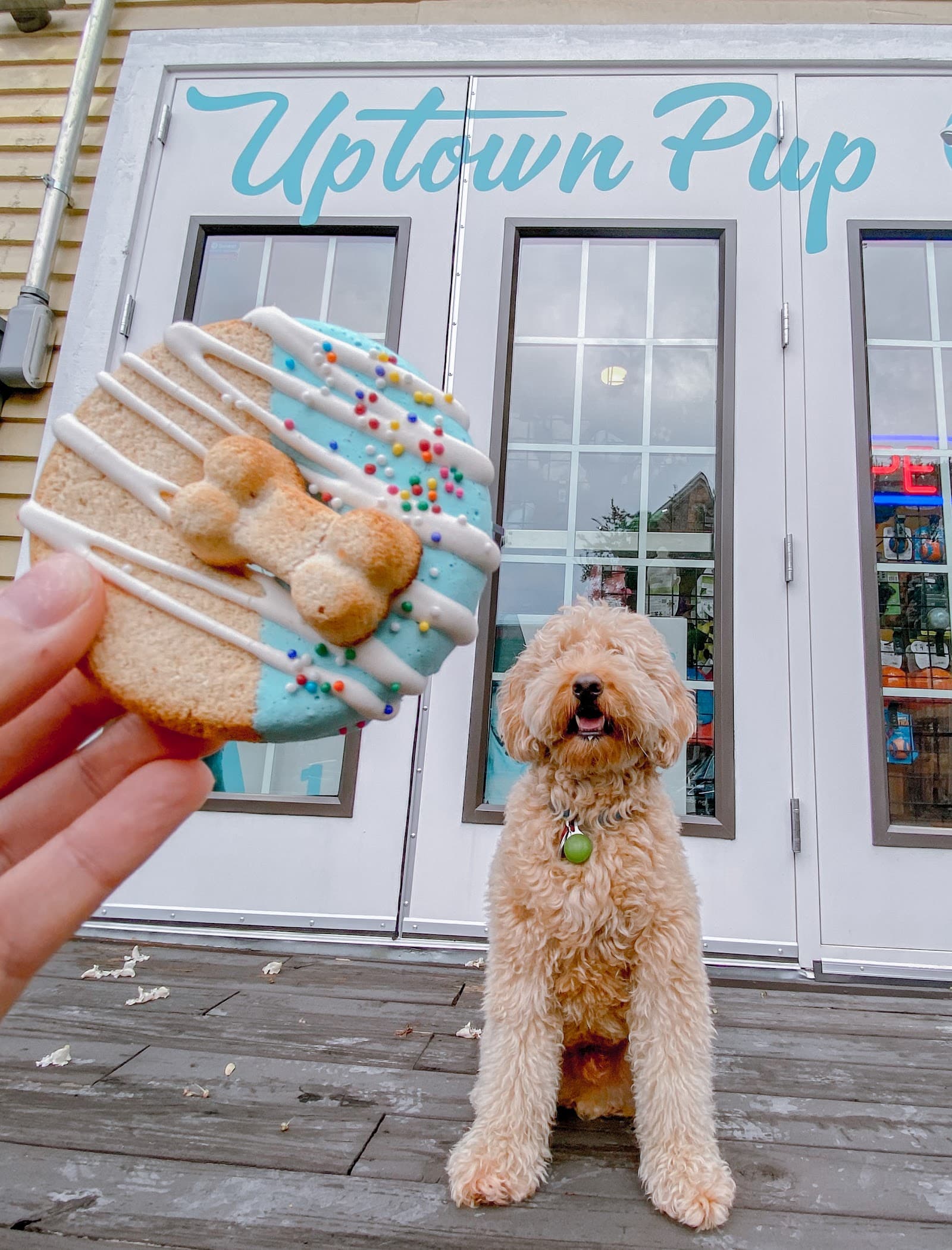 Uptown Pup Healthy Pet Food & Self Wash