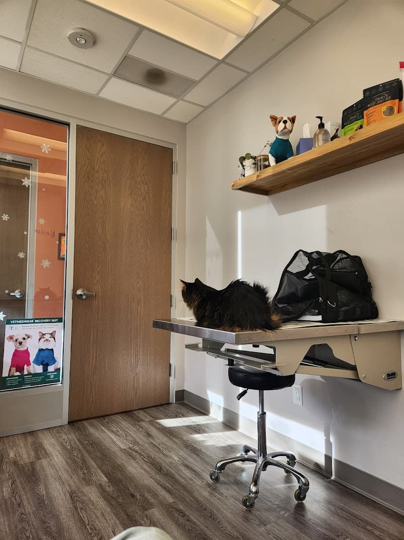 Urban Paw Veterinary Health and Rehabilitation photo 5