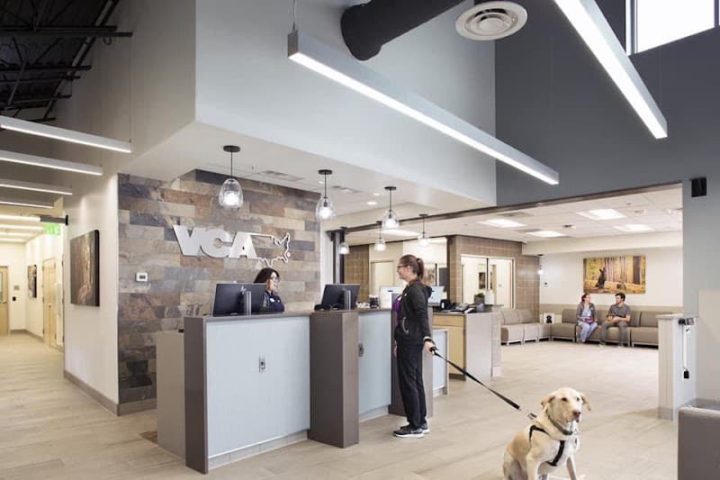 VCA Alameda East Veterinary Hospital photo 3