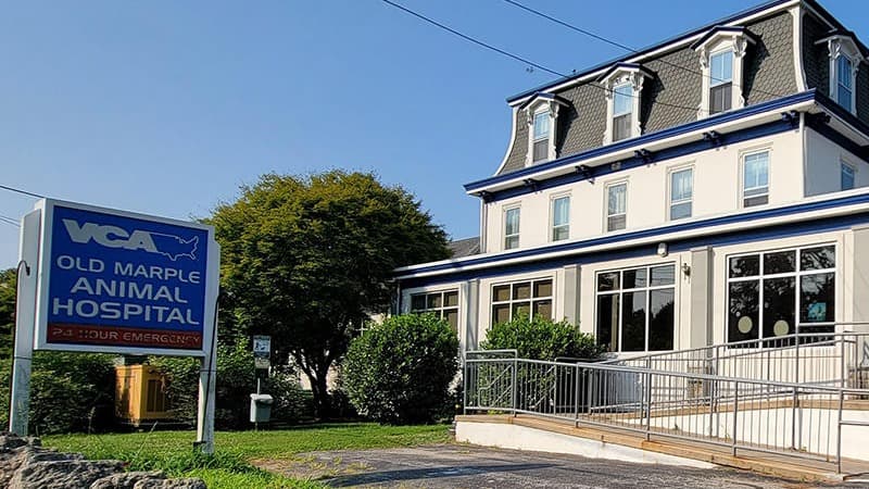 VCA Old Marple Animal Hospital