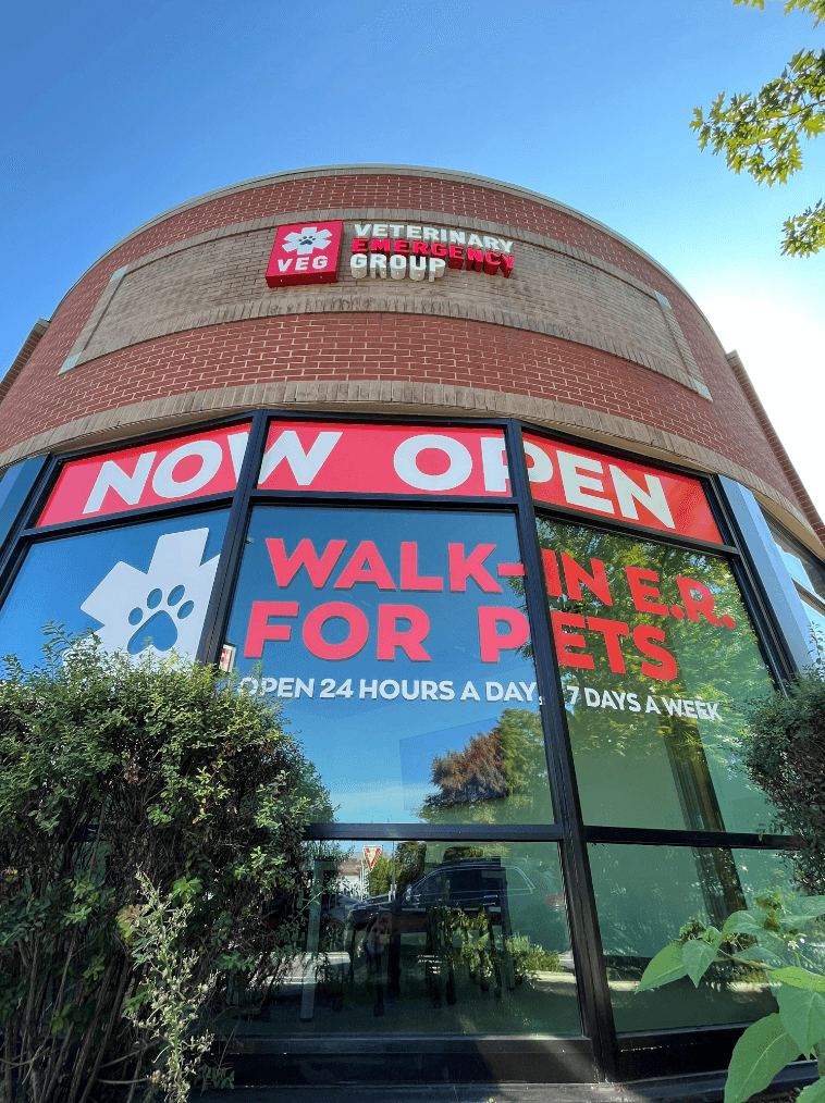 VEG ER for Pets