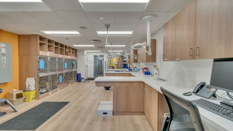 VetCare Animal Hospital photo 2