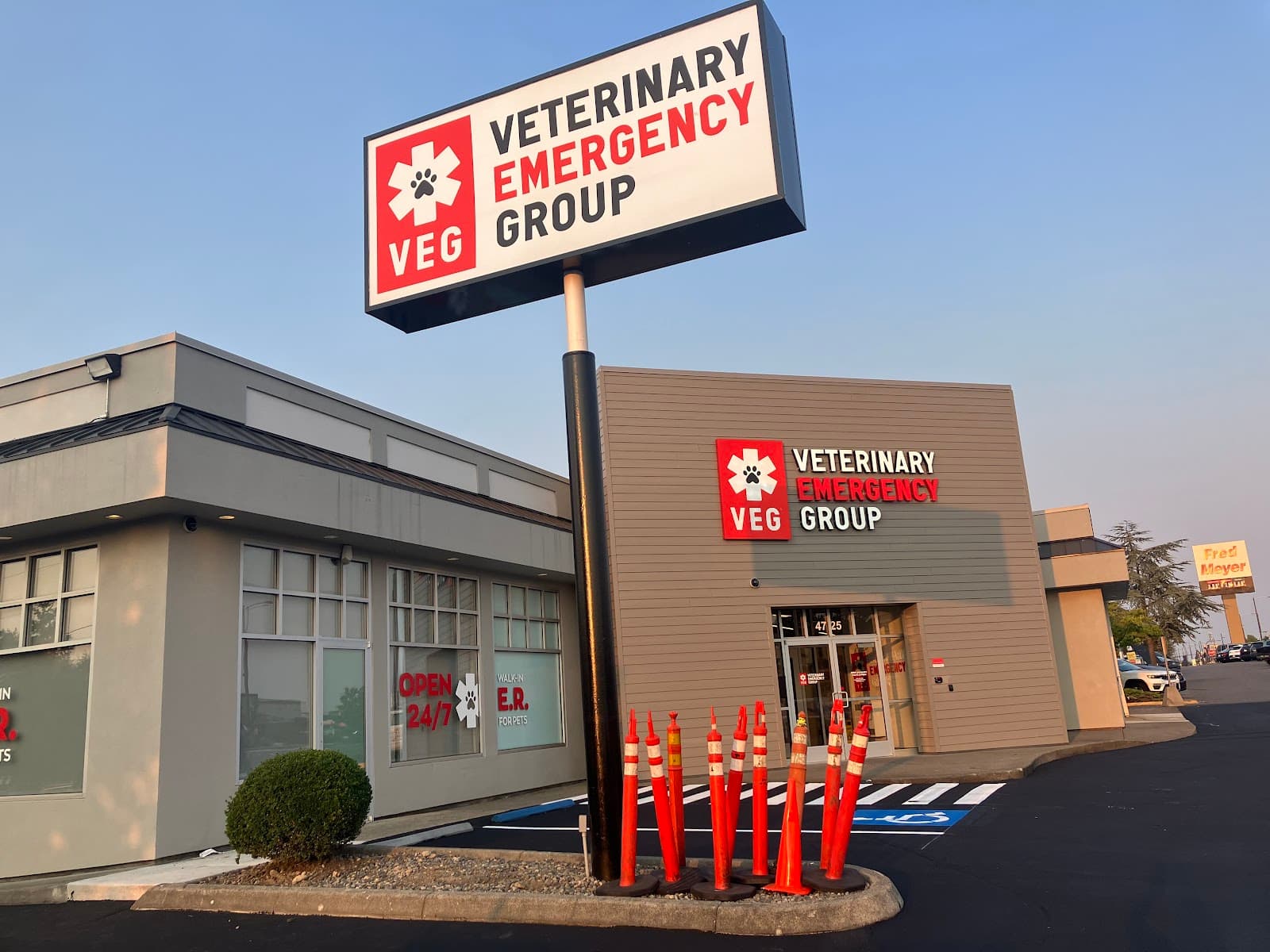 Veterinary Emergency Group