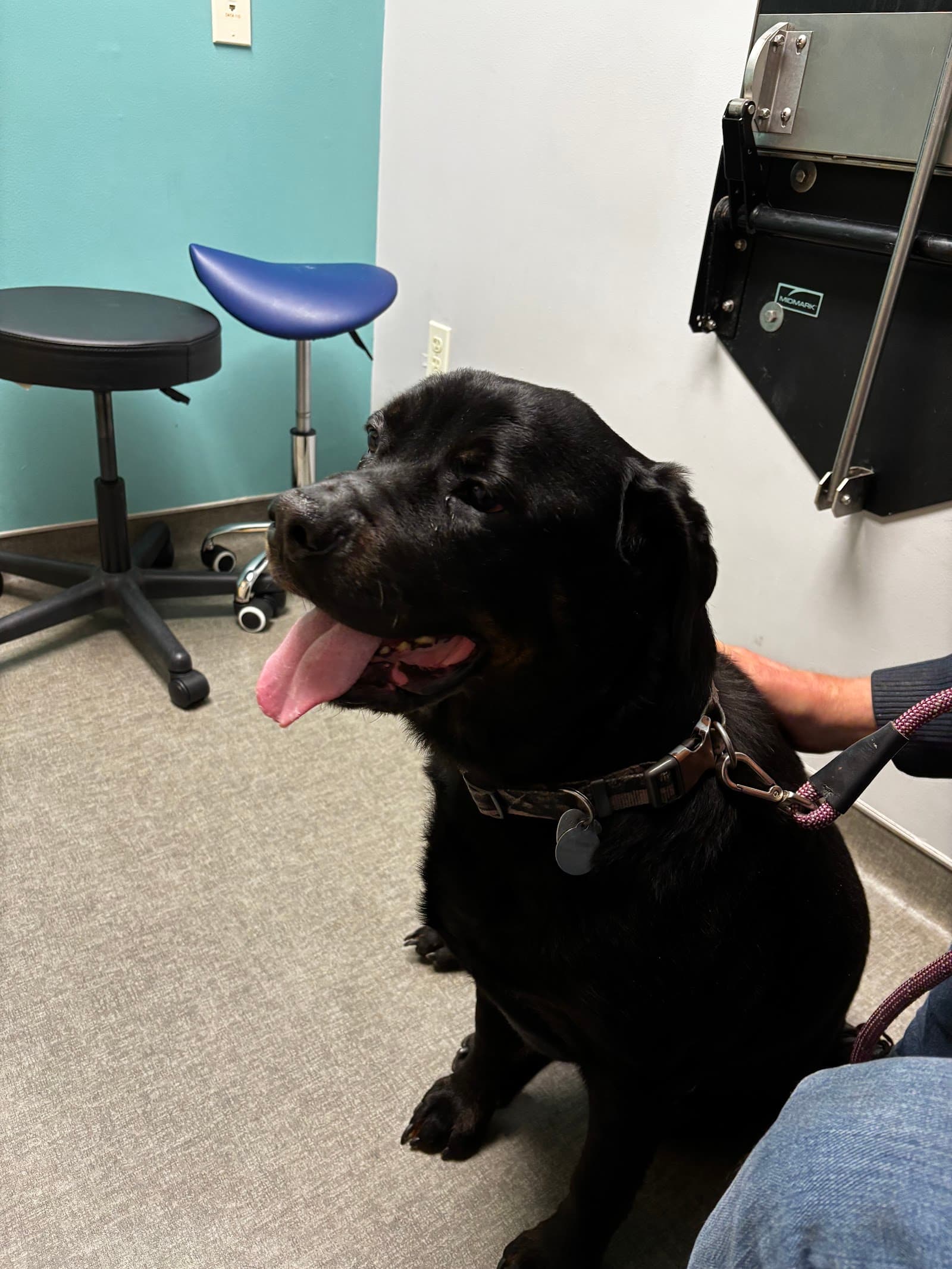 Veterinary Referral Center (VRC)