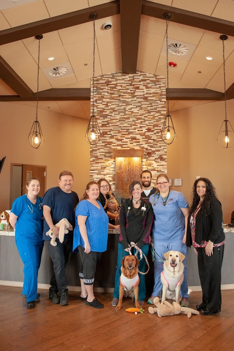 Veterinary Specialists of the Rockies photo 4