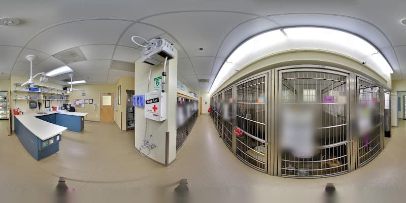 Veterinary Specialty Hospital - Sorrento Valley photo 3
