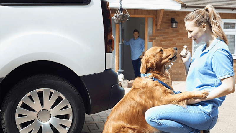 VIP Pet Transportation photo 2