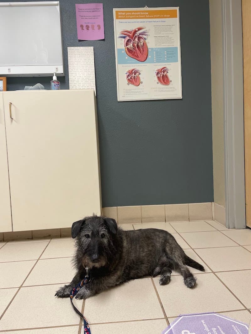 VRCC Veterinary Specialty and Emergency Hospital photo 3