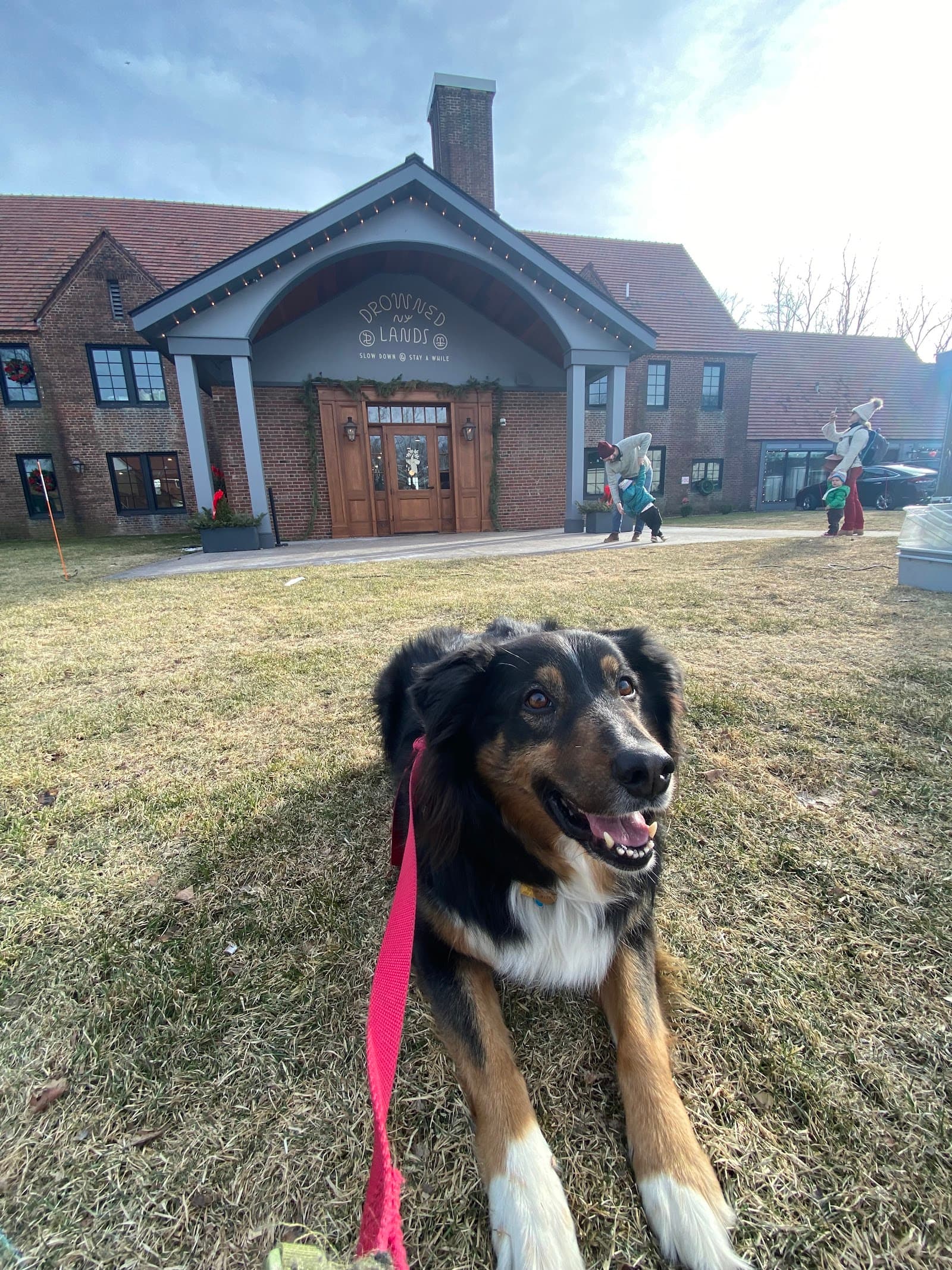 Wag the Dog NYC--Urban Dog Training