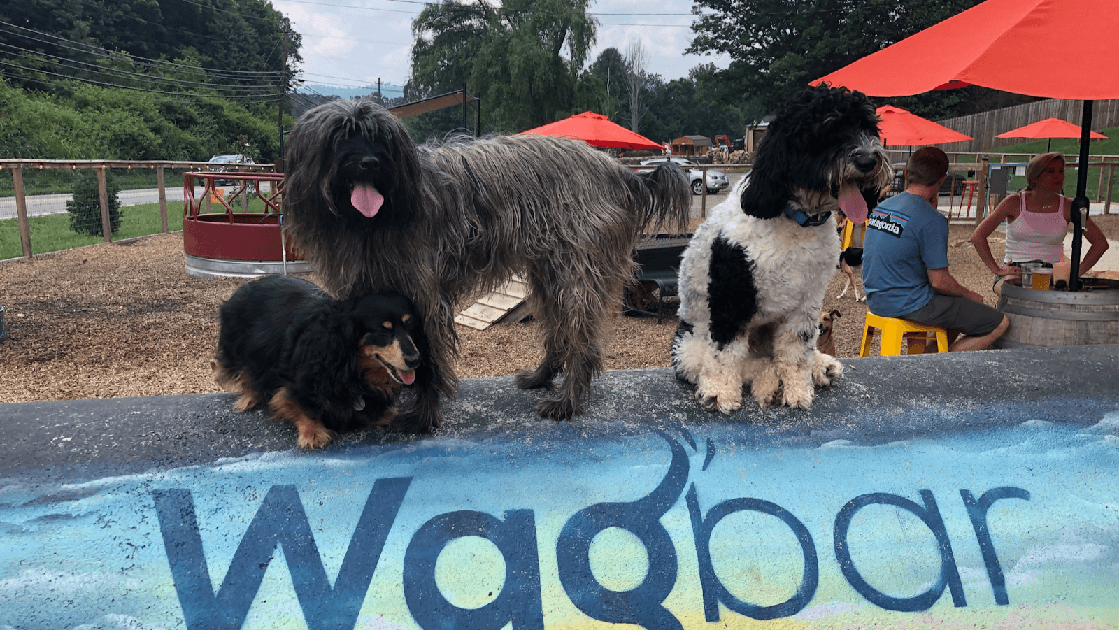 Wagbar