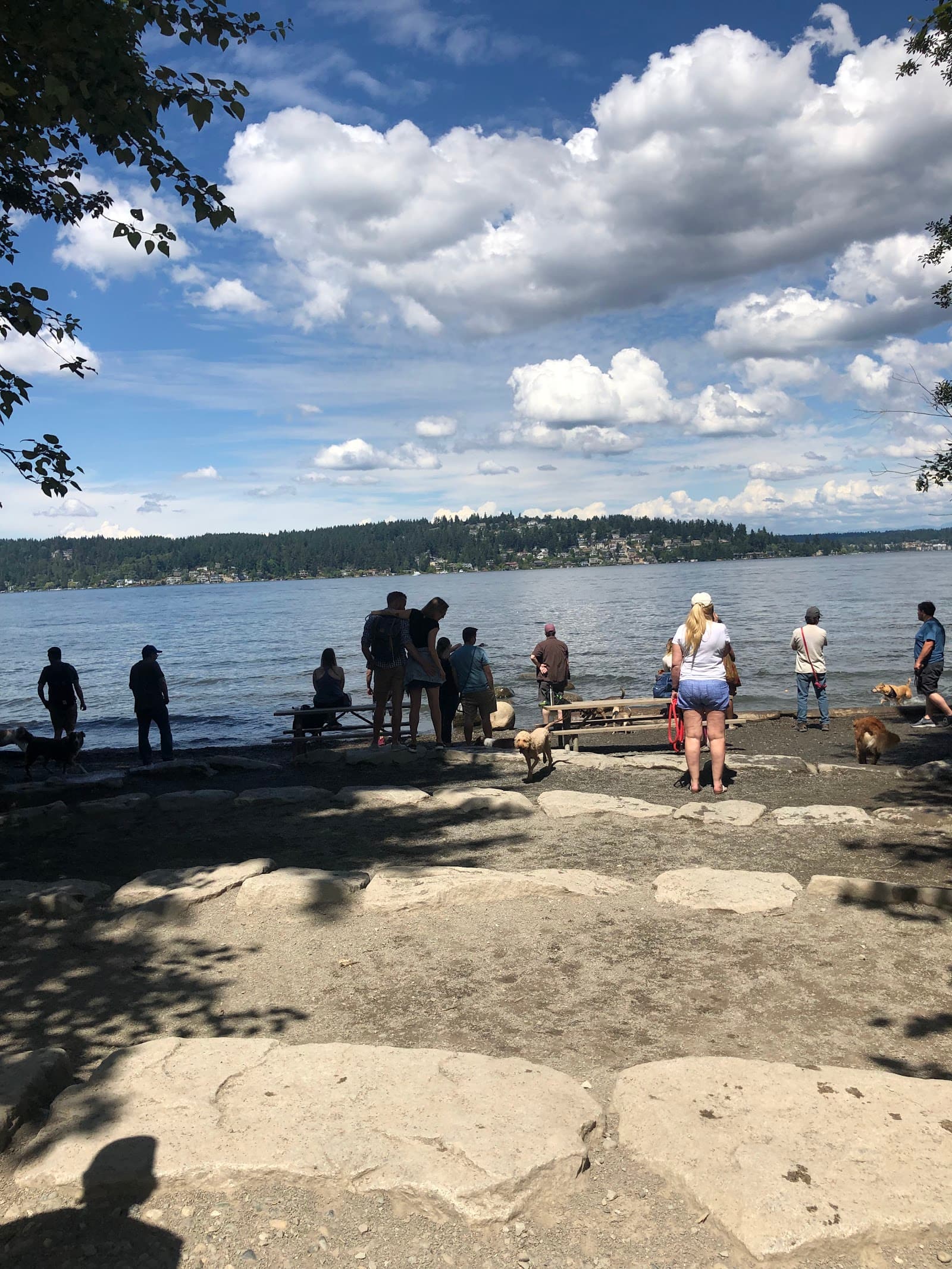 Warren G. Magnuson Park Off Leash Area