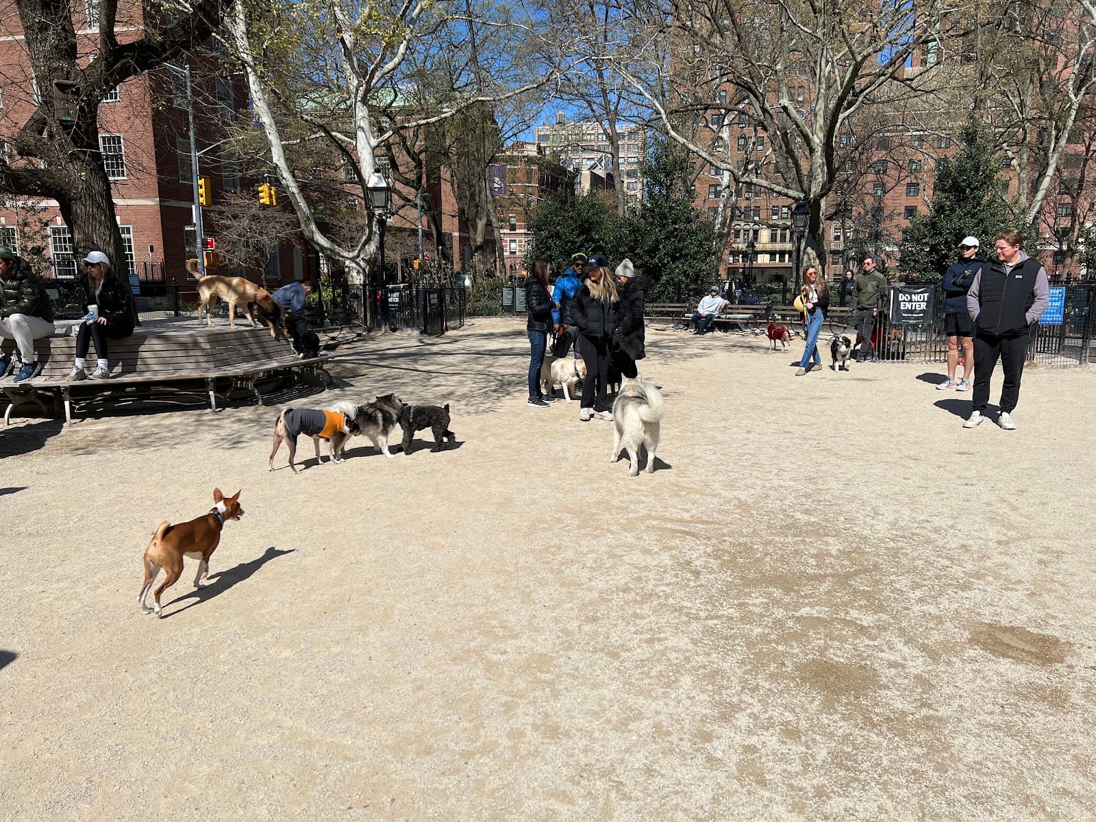 Washington Square Park Dog Run