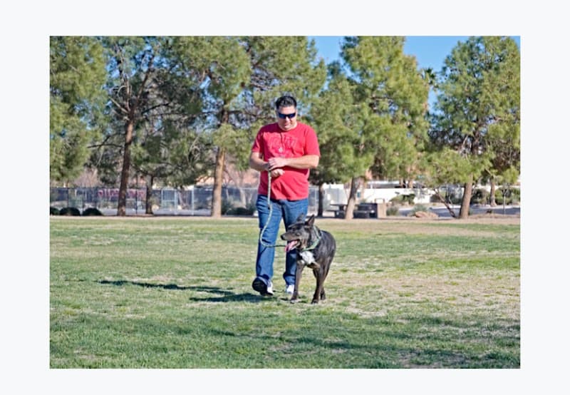 We Care Pet Services