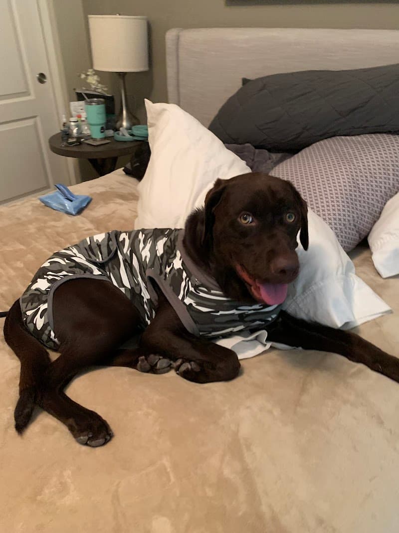 We Saved A Puppy photo 3